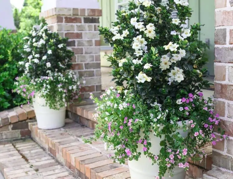 Front Door Flower Pot Ideas Featured