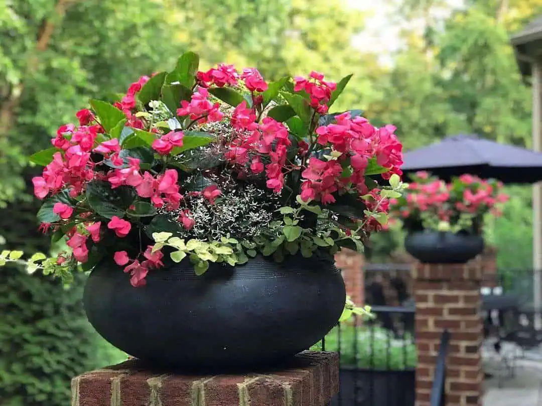 Go Monochrome for Minimalistic Elegance