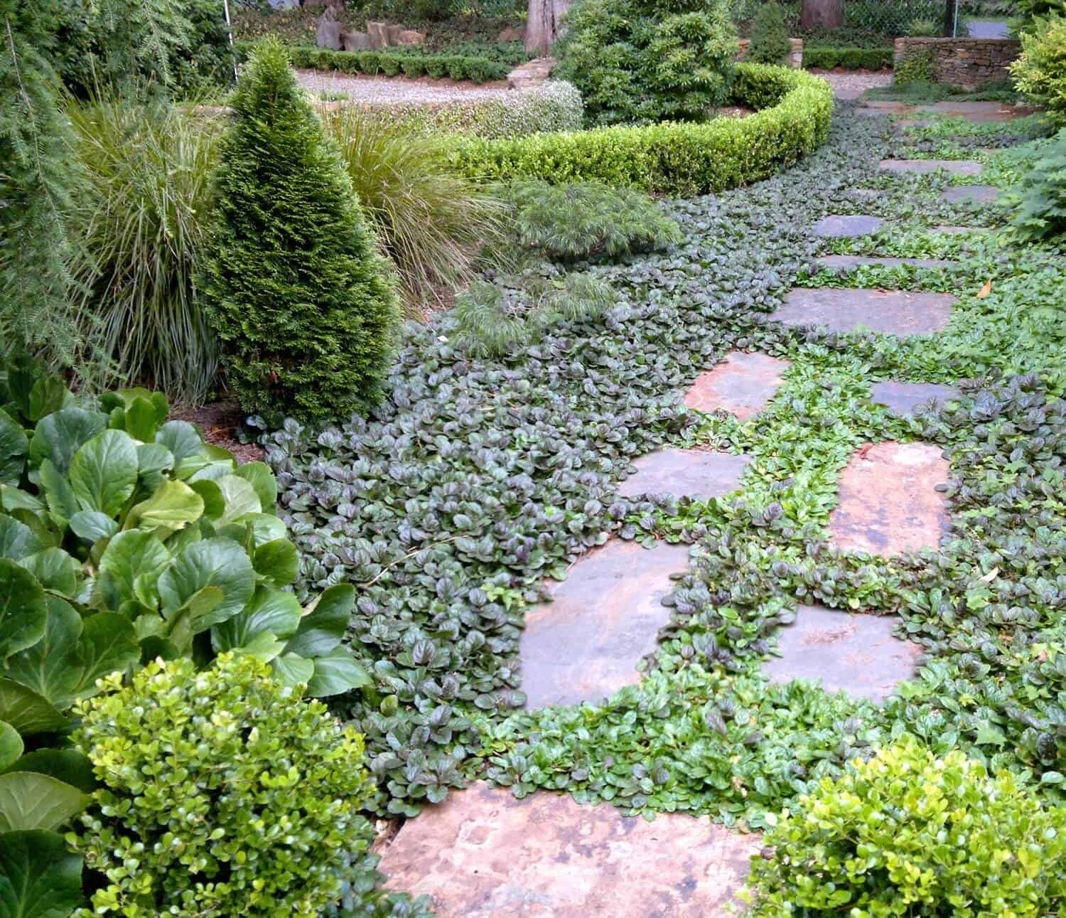 Planting Ground Covers 