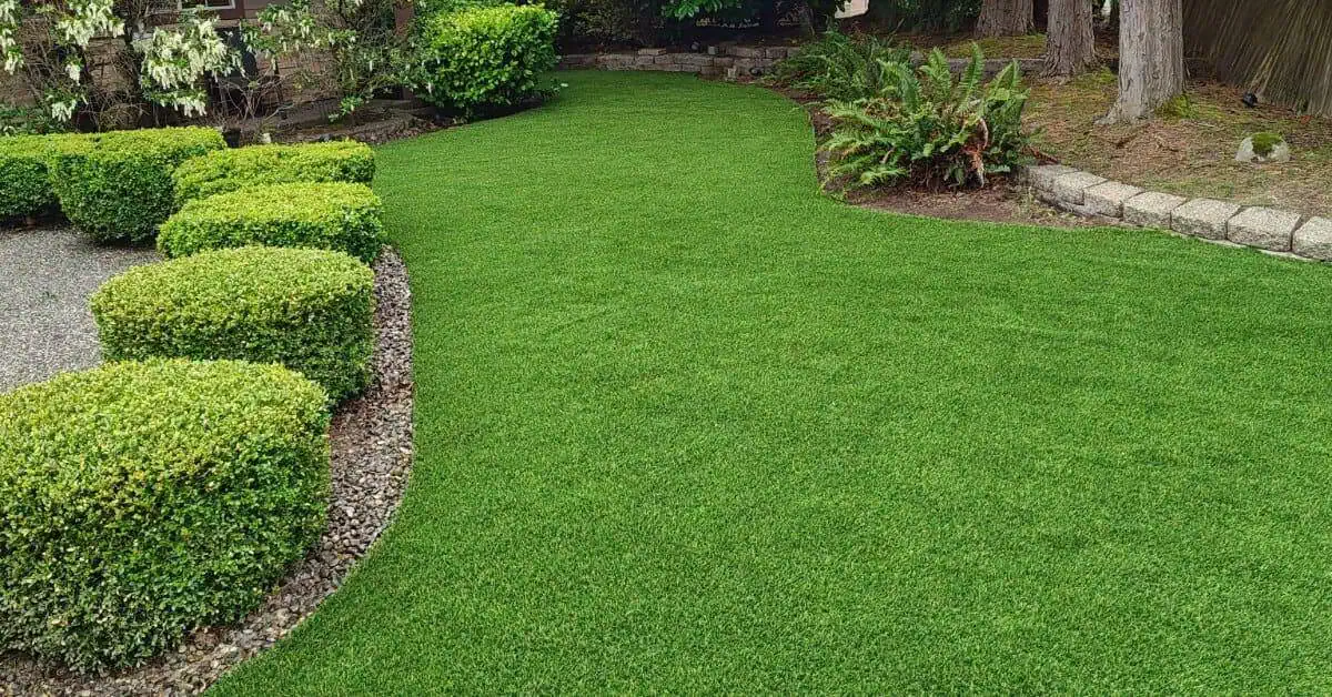 Working on the Drainage - Backyard Lawn