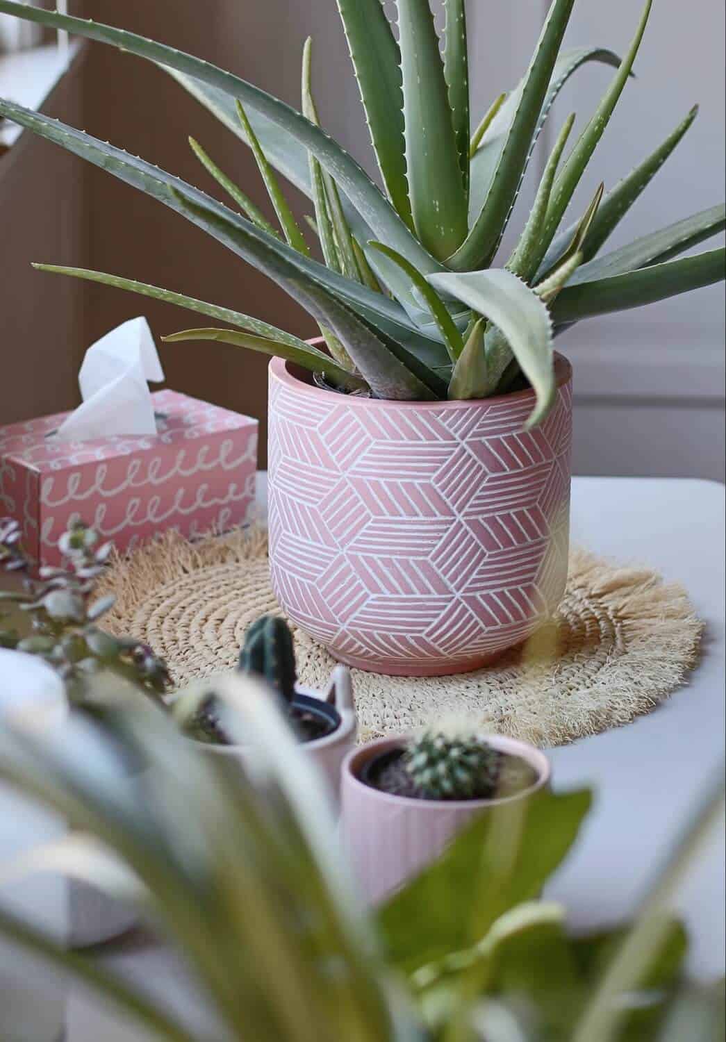 Aloe vera on a table mat