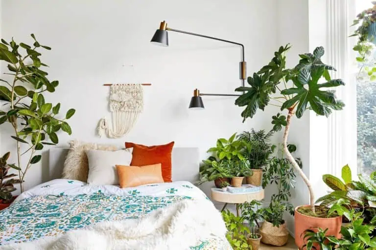 Bedroom Plants Featured