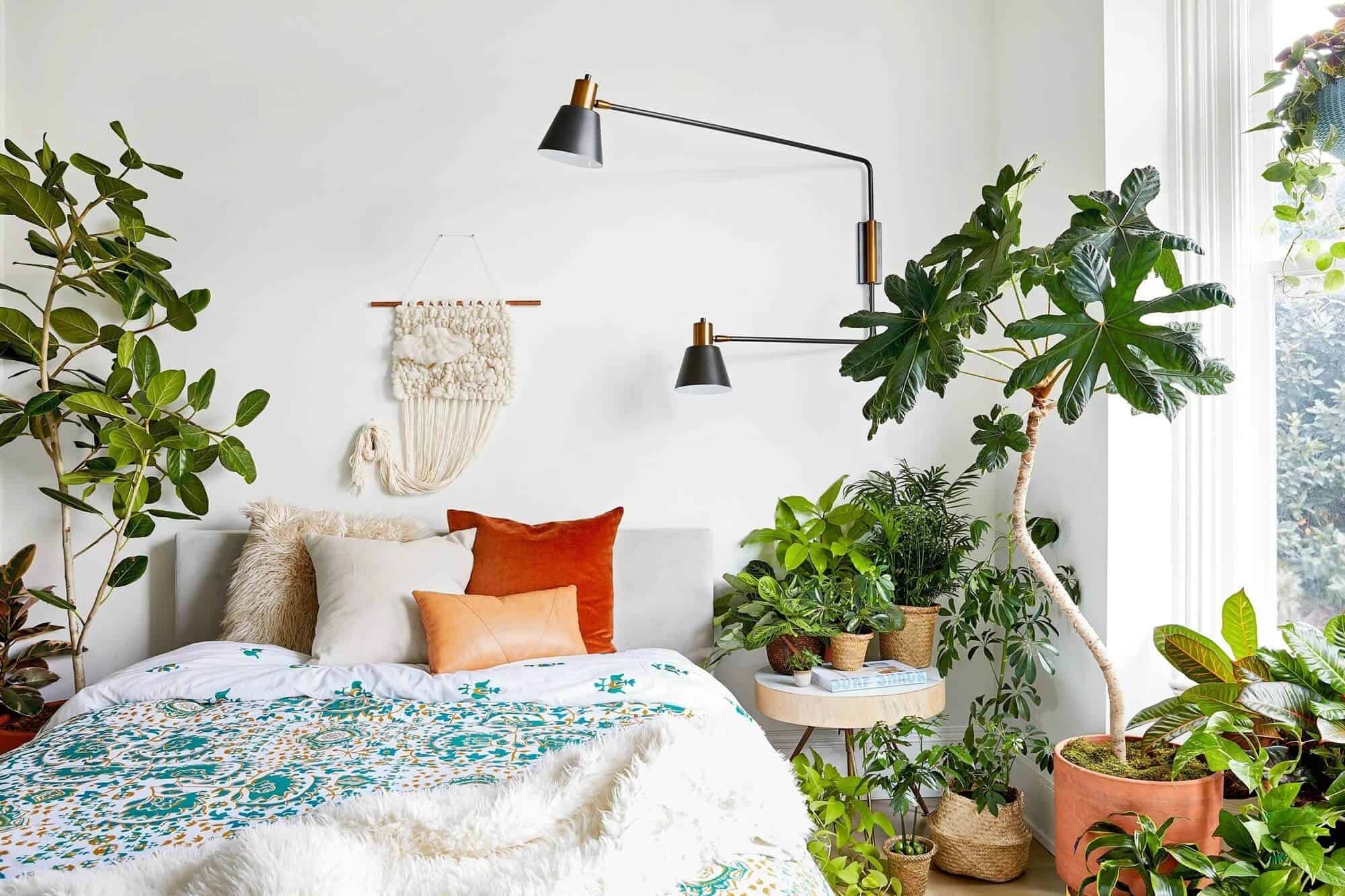 Bedroom Plants Featured